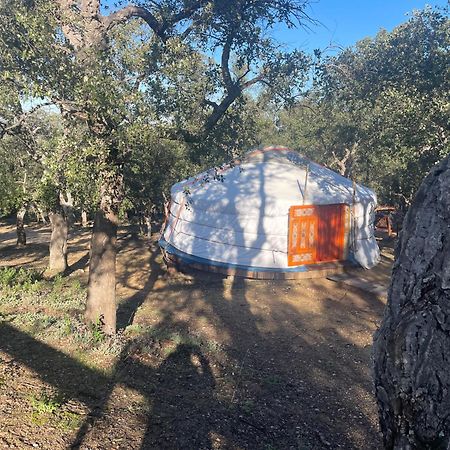 Au Soleil Mongol Panzió Sorède Kültér fotó