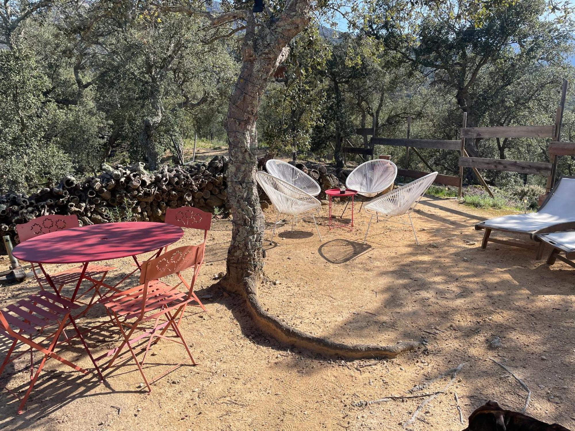 Au Soleil Mongol Panzió Sorède Kültér fotó