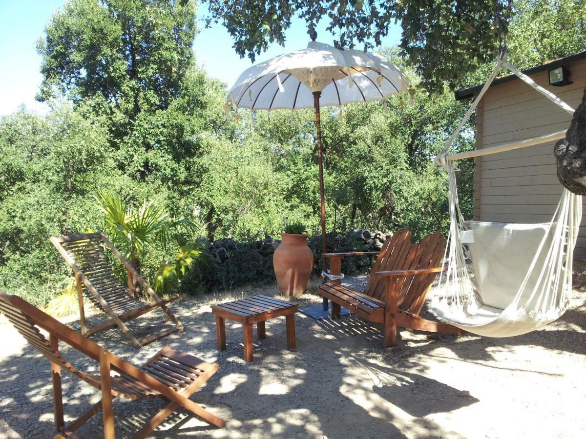 Au Soleil Mongol Panzió Sorède Kültér fotó